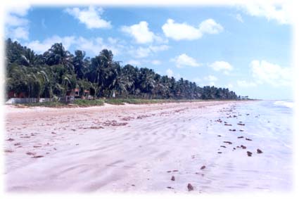 Praia de Camacho - Maragogi