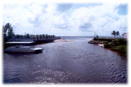 Rio Persinunga - Divisa de Alagoas com Pernambuco