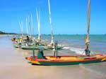 Jangadas na praia de Maragogi - Alagoas