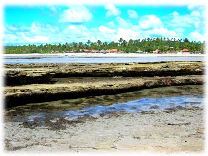 Praia de Camacho - Maragogi